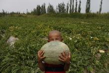 吃瓜群众岱岱 文章,一篇引人入胜的深度文章