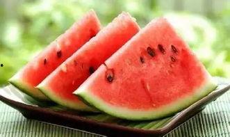 喜剧大赛吃瓜新鲜的瓜