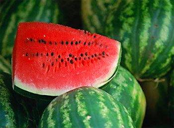 蕉瓜怎么吃 第3张 蕉瓜怎么吃 第3张